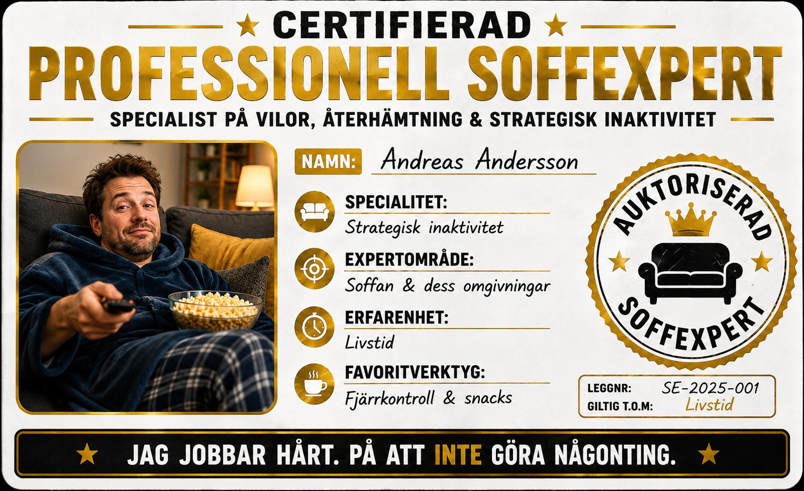 Professionell Soffexpert